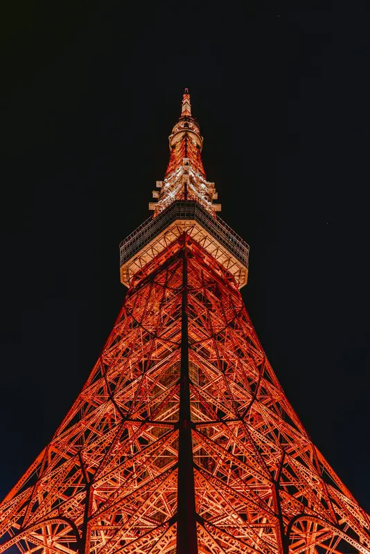 Sylvia.Tokyo Premium Domain